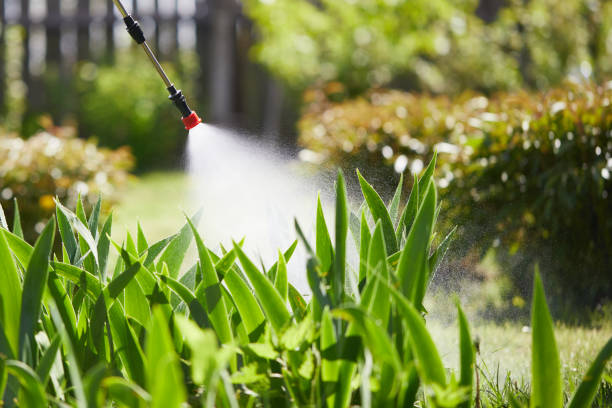 24/7 Emergency Mosquito Control experts in Cornelius, OR