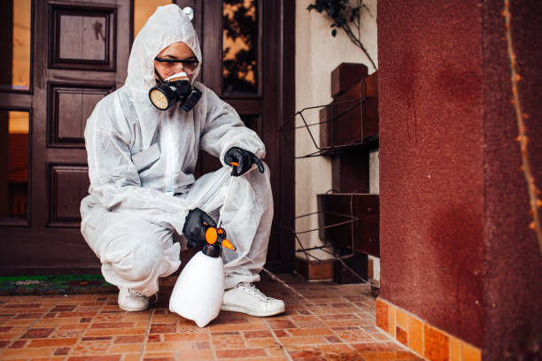 Reliable Mosquito Control contractor in Cornelius, OR by Show Me Pest Control
